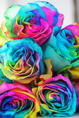 Plakat Colorful roses