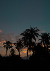 Fototapeta na wymiar Beautiful shoot of palms and electric lines silhouette with sunrise sky background