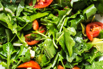 fresh salad with arugula and tomato