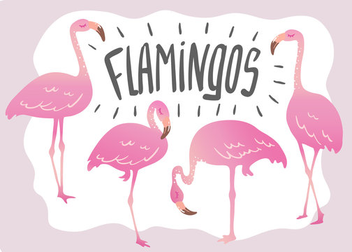 vector set of cute cartoon pink flamingo
