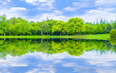 Fototapeta premium Park green trees