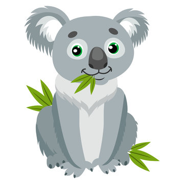 Koala Bear On Green Leaves. Australian Animal Funniest Herbivore Sitting On  Eucalyptus. Sitting Bear Cartoon Vector Illustration. Iconic Marsupials.  Stock Vector | Adobe Stock