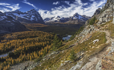 Fototapeta premium Distant Landscape View and Snowy Rocky Mountain Tops from Great Hiking Trail above Lake O'Hara in Yoho National Park British Columbia Canada