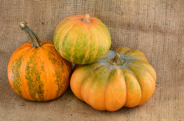 Pumpkins on burlap toning. Autumn harvest.