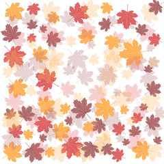 Autumn abstract background. Autumn leaves illustration