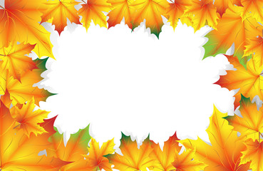 Obraz premium vector background of yellow autumn leaf with place for text
