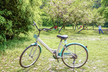 Fototapeta premium Park parked bike