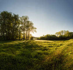 Fototapeta premium Beautiful nature landscape