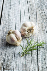 Fresh healthy garlic with rosemary.