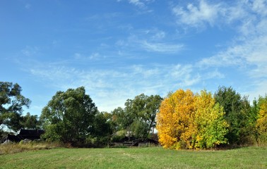 Alone yellow autumn tree in sunny weather with clouds