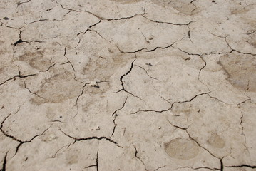 ground