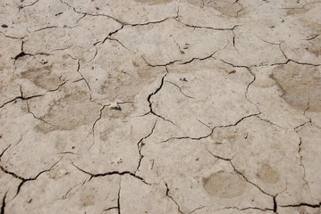 ground