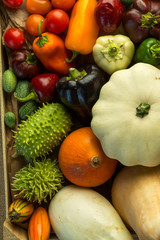 composition of diferent vegetables