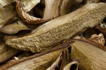 Dried edible mushrooms.