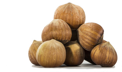 hazelnuts closeup on a light background