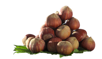 Hazelnut on green leaves isolated on white background