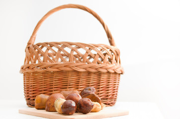 Edible forest mushrooms and wicker basket.