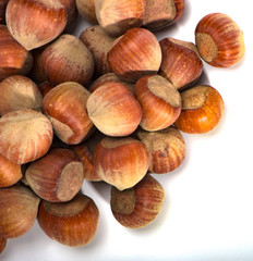 hazelnuts closeup on a light background