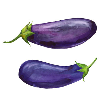 watercolor two eggplants
