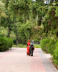 Naklejka premium girl leads the horse under the bridle in the saddle with the child, the rear view