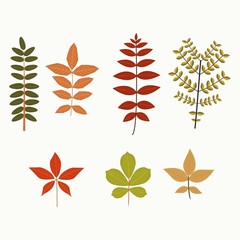branches vector collection