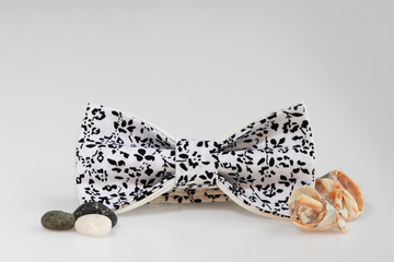 Composition: Extravagant black and white bow tie and semi-frozen seashells from rapans on a white background