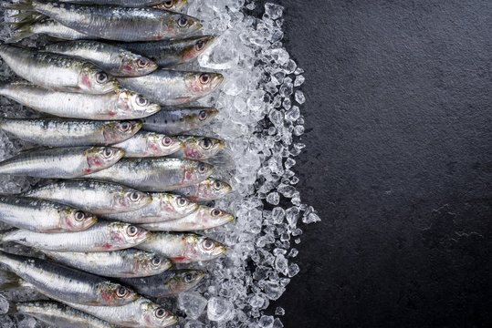 Raw sardine on ice offered as top view on a black slate with copy space right
