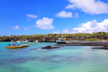 Fototapeta na wymiar Puerto Ayora harbor on Santa Cruz Island, Galapagos National Park, Ecuador