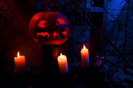 Halloween - pumpkin, candles and a clock on leaves and logs with a warm and cold glow, against the background of a window with branches and spiderwebs