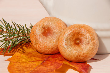 two fungi and autumn leaf on a light background