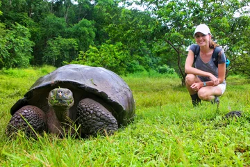Foto op Canvas Galapagos giant tortoise with young woman (blurred in background) sitting next to it on Santa Cruz Island in Galapagos National Park, Ecuador © donyanedomam