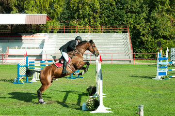 Young man jockey ride beautiful brown horse and jump over the crotch in equestrian sport closeup.