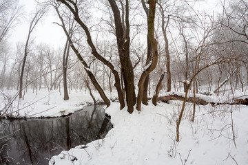 Snowing landscape in the park. Fisheye lens effects
