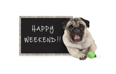 cute happy pug puppy dog with green ball and blackboard sign with text happy weekend, isolated on white background