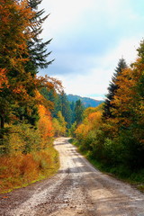 Mountain road in the Carpathians in the autumn.