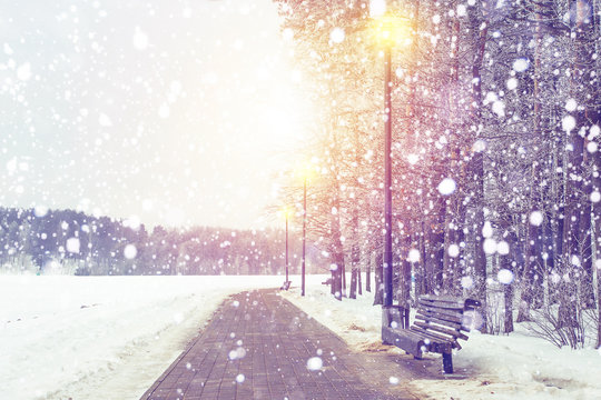 Winter background. Snowfall in Xmas park on sunset. Snowflakes faling on snowy forest. Christmas and New Year theme