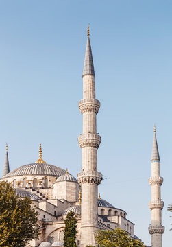 Vertical photo of mosque with minarets