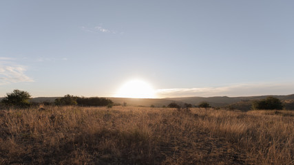Fototapeta na wymiar Sunrise Nambiti Game Reserve, South Africa.