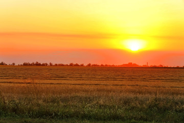 Stubble field at sunset