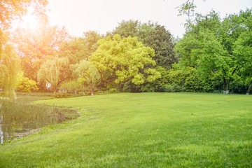 The park is green, woods, and grass