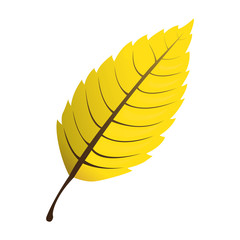 Isolated leaf icon on a white background, Vector illustration