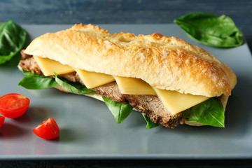 Tasty steak sandwich on plate