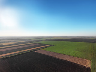 Beautiful fields on sunny day