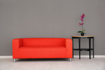 Comfortable red sofa, table and plant near color wall