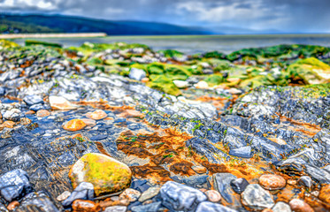 Macro closeup of green, mossy rocks and Saint Lawrence river in Saint-Irenee, Quebec, Canada in Charlevoix region with beach