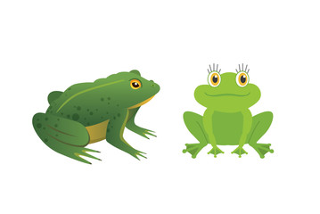 Fototapeta premium Exotic amphibian set. Frogs in different styles Cartoon Vector Illustration isolated. tropical animals