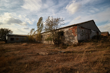 Fototapeta na wymiar Abandoned farm outside, overgrown with grass, early autumn.