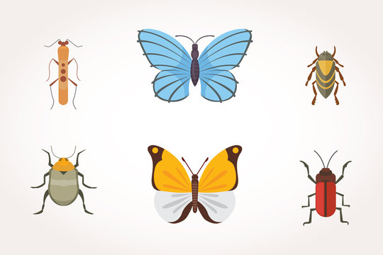 Set of different insects in cartoon style. Butterfly and beetle collection.