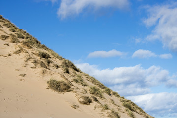 Grassy Sand Dunes at Newburgh Beach in front of Blue Sky