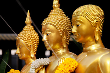 Golden Standing Buddha Statues 